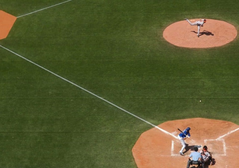 Employee Appreciation Picnic and Baseball Game