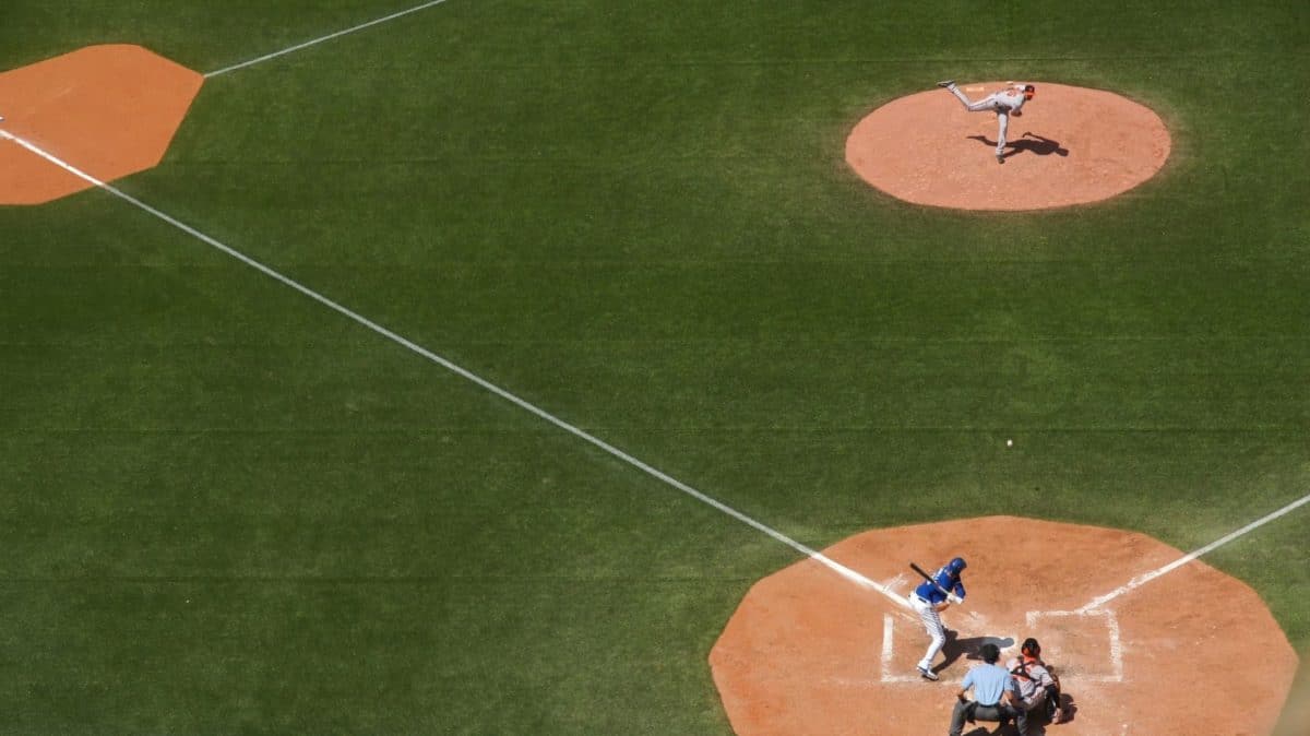 Employee Appreciation Picnic and Baseball Game